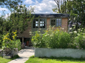 Little Plovers Shepherd Hut